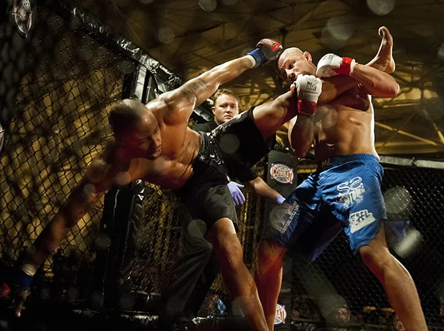 En İyi MMA Dövüşçüleri, ufc dövüşçüleri